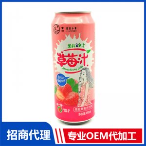 果粒果汁 草莓汁代加工贴牌OEM/ODM