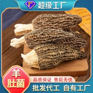批发现货正品羊肚菌100g袋装煲汤火锅食材家用商用羊肚菌一件代发