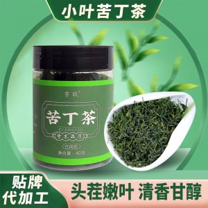 苦丁茶 新茶小叶苦丁茶 精选小叶苦丁茶源头厂家现货速发一件代发