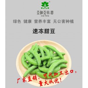 速冻甜豆；出口品质冷冻蔬菜；批发加工；生产工厂