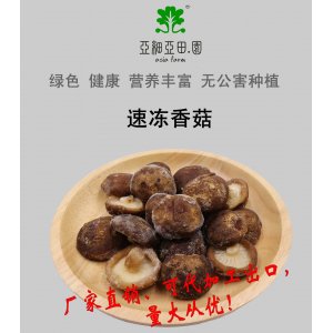 速冻鲜香菇；出口品质冷冻蔬菜；批发加工(OEM)；生产工厂