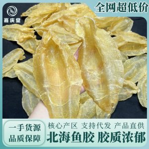 北海胶系列产品 北海鳘鱼公胶北海母胶北海阴阳胶广州实体批发商