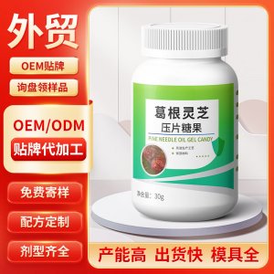 葛根灵芝压片糖果 OEM/ODM贴牌代加工批发定制源头工厂