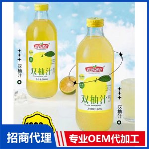 双柚汁1000gOEM代加工 果汁贴牌定制源头厂家