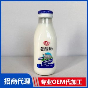 310克玻璃瓶老酸奶OEM代加工 酸奶贴牌定制源头工厂
