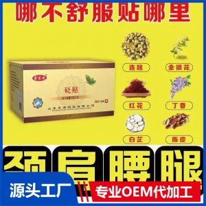 九兴 筋骨砭贴 消痛膏祛湿止痛 颈椎贴腰间盘腰疼颈椎 可批发代理定制