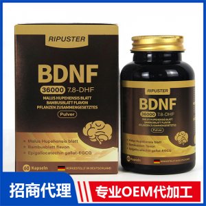 BDNF脑源性神经营养因子OEM代加工 进口营养品贴牌定制源头工厂