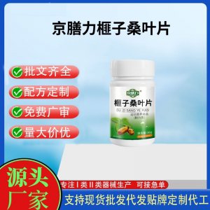 京膳力榧子桑叶片OEM代加工 运动营养食品贴牌定制加工