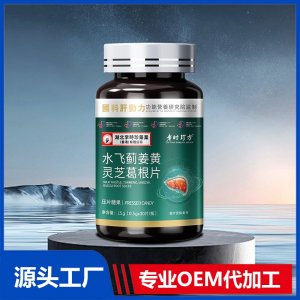 水飞蓟姜黄灵芝葛根片压片糖果 OEM/ODM贴牌代加工批发定制