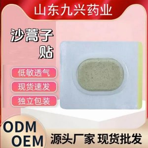 沙蒿子穴位贴 源头生产厂家多种规格 可OEM定制批发 供医院药店